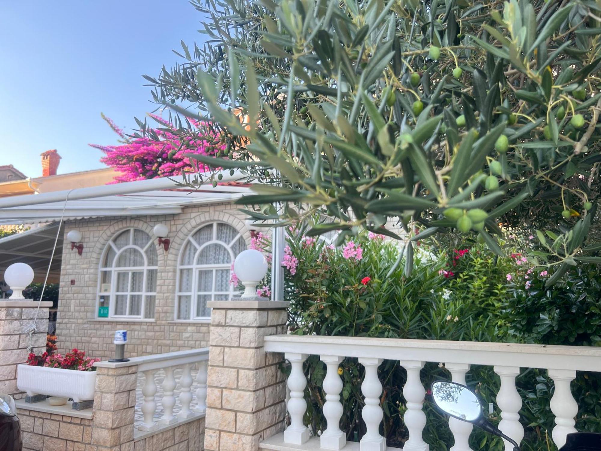 Bed&Breakfast Rab Palit Exterior foto